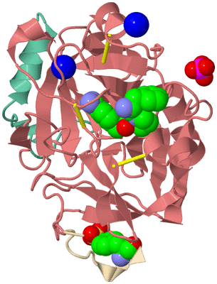 Image Asym./Biol. Unit