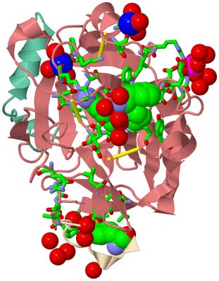 Image Asym./Biol. Unit - sites