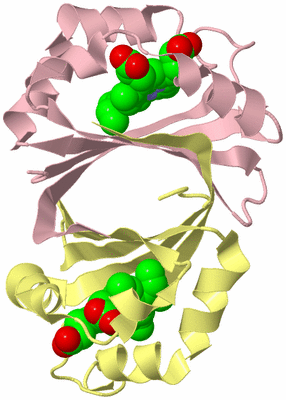 Image Biological Unit 2