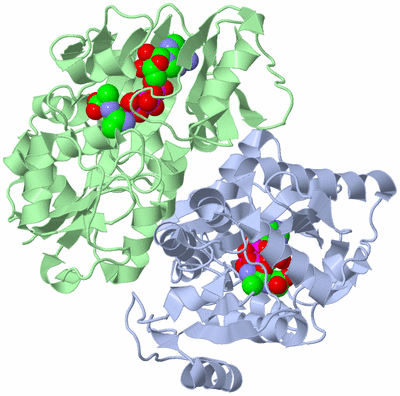 Image Asym./Biol. Unit
