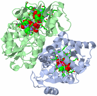 Image Asym./Biol. Unit - sites