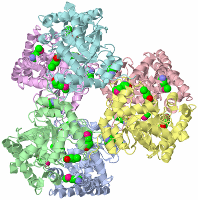 Image Asym./Biol. Unit