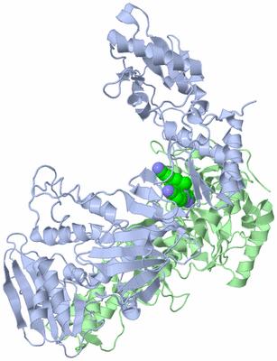 Image Asym./Biol. Unit