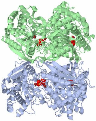 Image Biological Unit 3