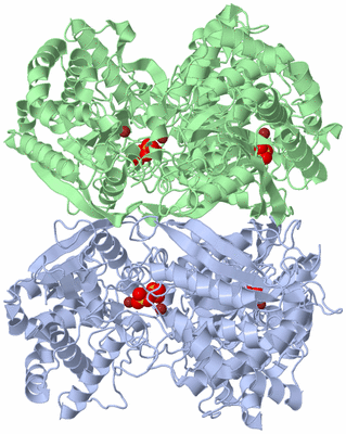 Image Biological Unit 3