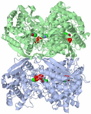 Image Biological Unit 3