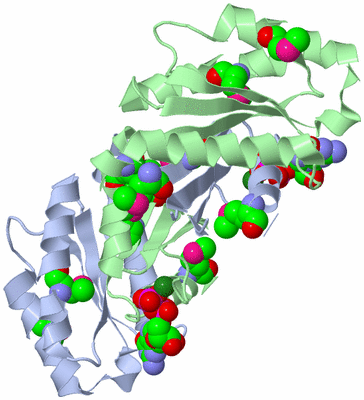 Image Asym./Biol. Unit