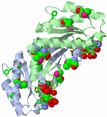 Image Asym./Biol. Unit - sites