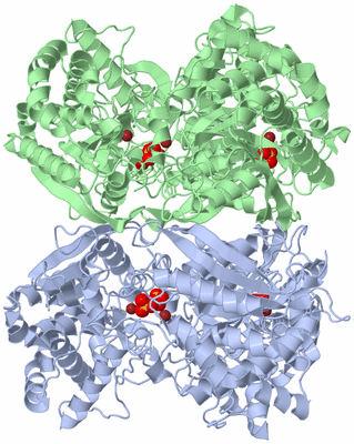 Image Biological Unit 3