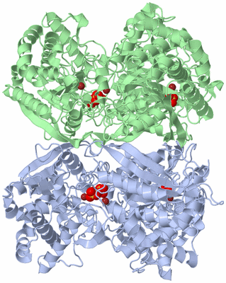 Image Biological Unit 3