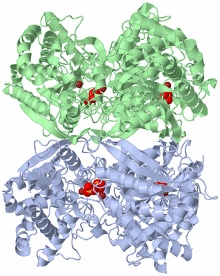 Image Biological Unit 3