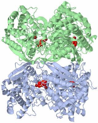 Image Biological Unit 3