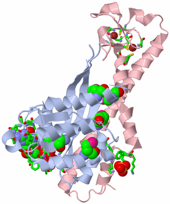 Image Biol. Unit 1 - sites