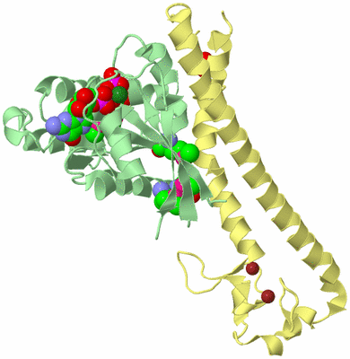 Image Biological Unit 2