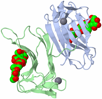 Image Biological Unit 3