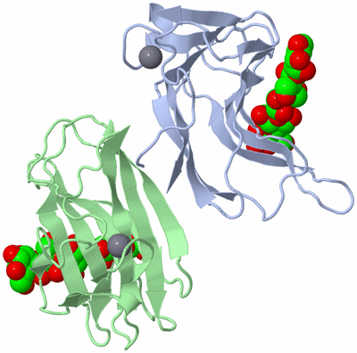 Image Biological Unit 3