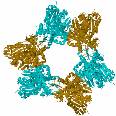 Image Biological Unit 2