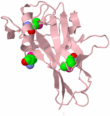 Image Biological Unit 3