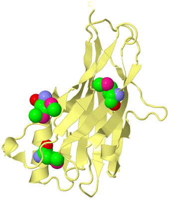 Image Biological Unit 4