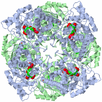 Image Biological Unit 1