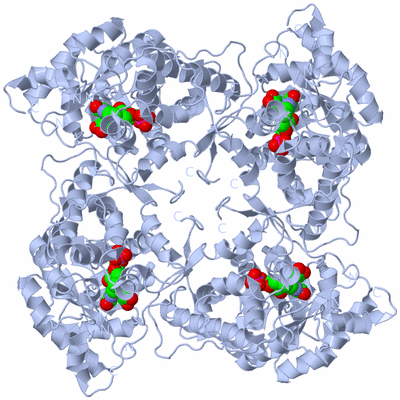 Image Biological Unit 2