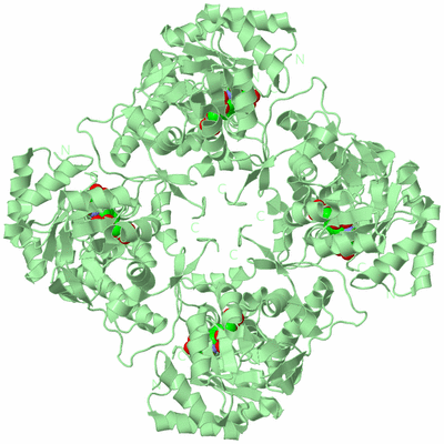 Image Biological Unit 3