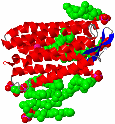 Image Asymmetric Unit