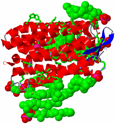 Image Asym. Unit - sites