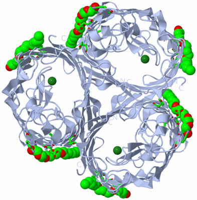 Image Biol. Unit 1 - sites