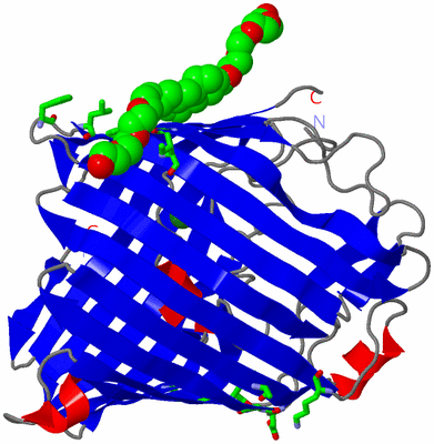 Image Asym. Unit - sites