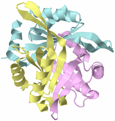 Image Biological Unit 2