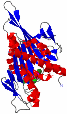 Image Asym./Biol. Unit