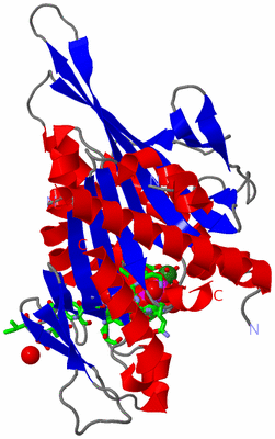 Image Asym./Biol. Unit - sites