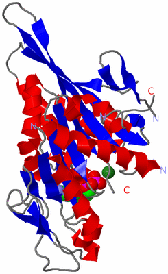 Image Asym./Biol. Unit