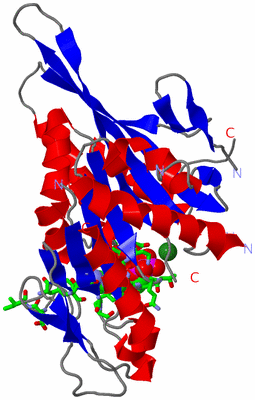 Image Asym./Biol. Unit - sites