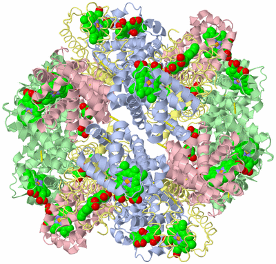 Image Biological Unit 1