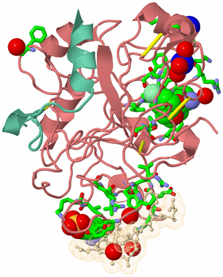 Image Asym./Biol. Unit - sites