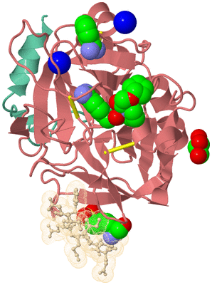 Image Asym./Biol. Unit