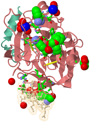 Image Asym./Biol. Unit - sites