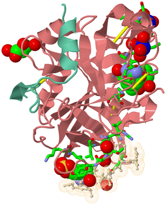 Image Asym./Biol. Unit - sites