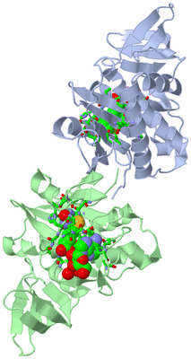 Image Asym./Biol. Unit - sites