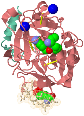 Image Asym./Biol. Unit