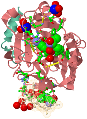 Image Asym./Biol. Unit - sites