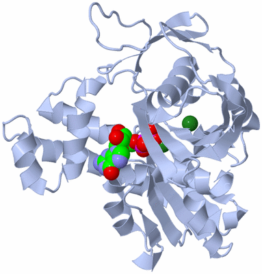 Image Biological Unit 2