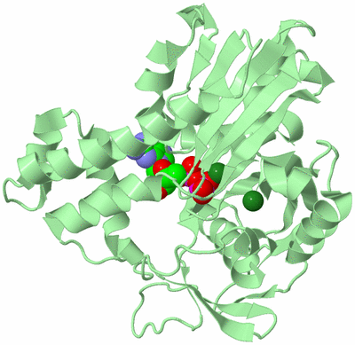 Image Biological Unit 3