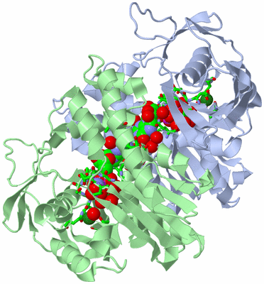 Image Biol. Unit 1 - sites