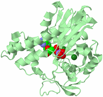 Image Biological Unit 3