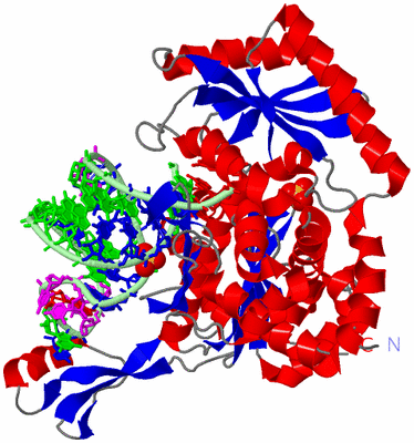 Image Asym./Biol. Unit