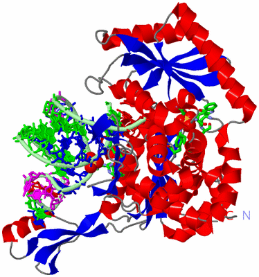 Image Asym./Biol. Unit - sites