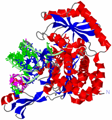 Image Asym./Biol. Unit